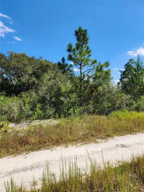 2644 N TODD RD, Avon Park, FL 33825