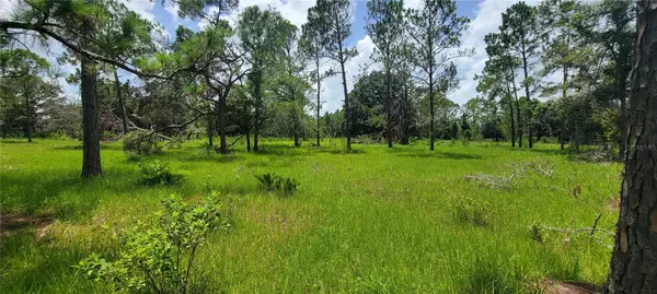 Arcadia, FL 34266,SW FLORIDA RD