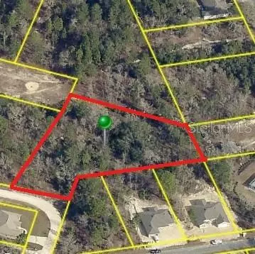 Weeki Wachee, FL 34614,13075 PACIFIC NIGHTHAWK AVE