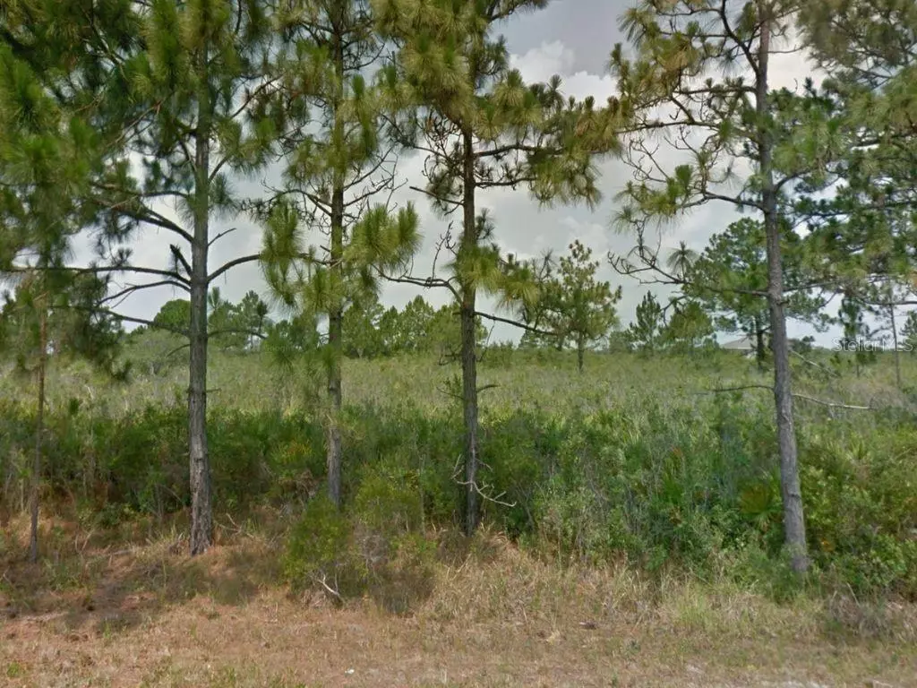 Lake Placid, FL 33852,353 NORSEMAN AVE NW