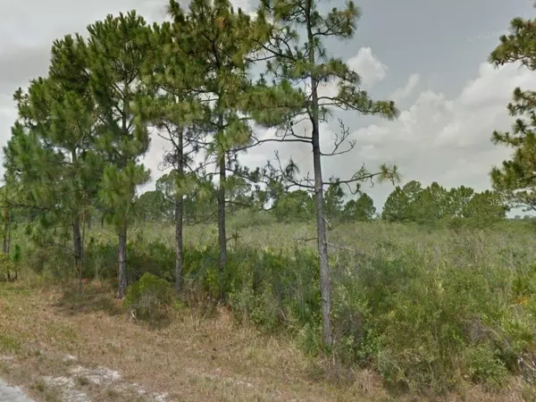 Lake Placid, FL 33852,353 NORSEMAN AVE NW