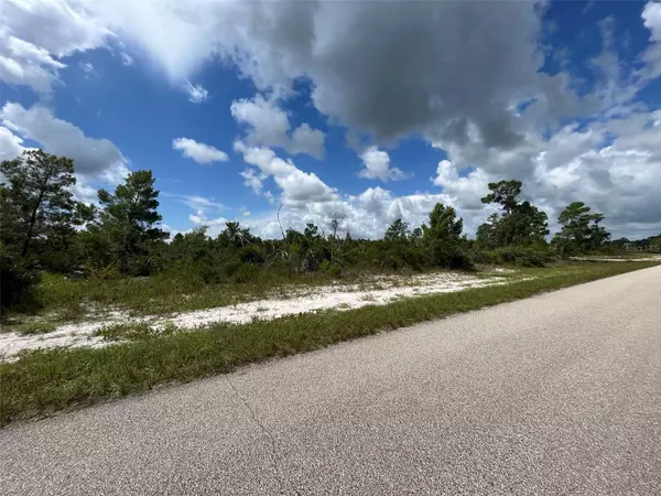 Lake Placid, FL 33852,1125 ISLAND Pkwy NE