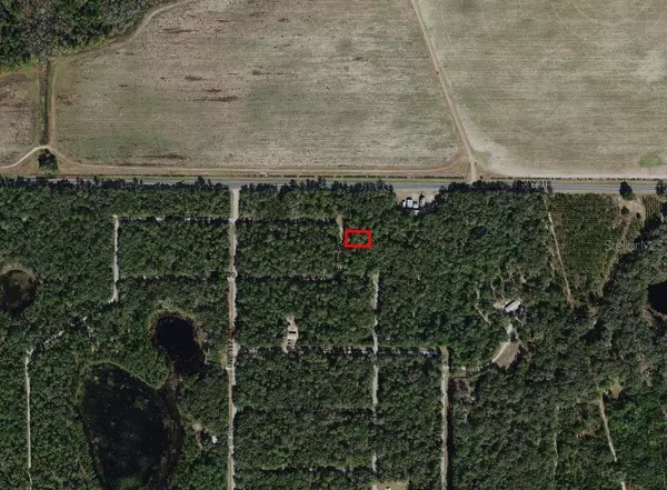 Fort Mc Coy, FL 32134,Lot 23 NE 118TH AVE