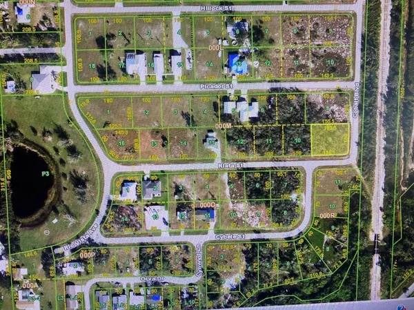 Punta Gorda, FL 33982,29246 RIATA ST