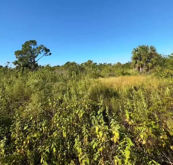 North Port, FL 34288,LOT 20 SAWYER CIR