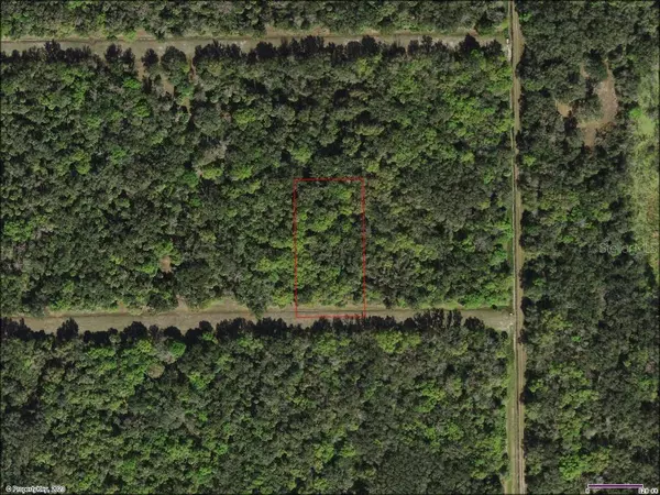 SW ADVENTURE WAY, Arcadia, FL 34266