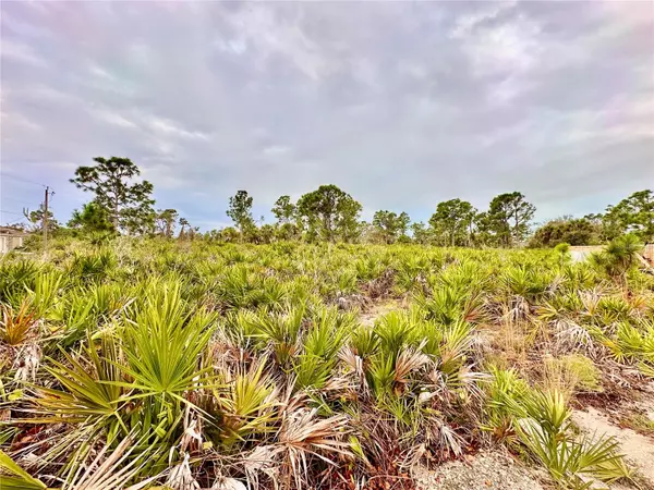 Port Charlotte, FL 33981,5363 KENNEL ST