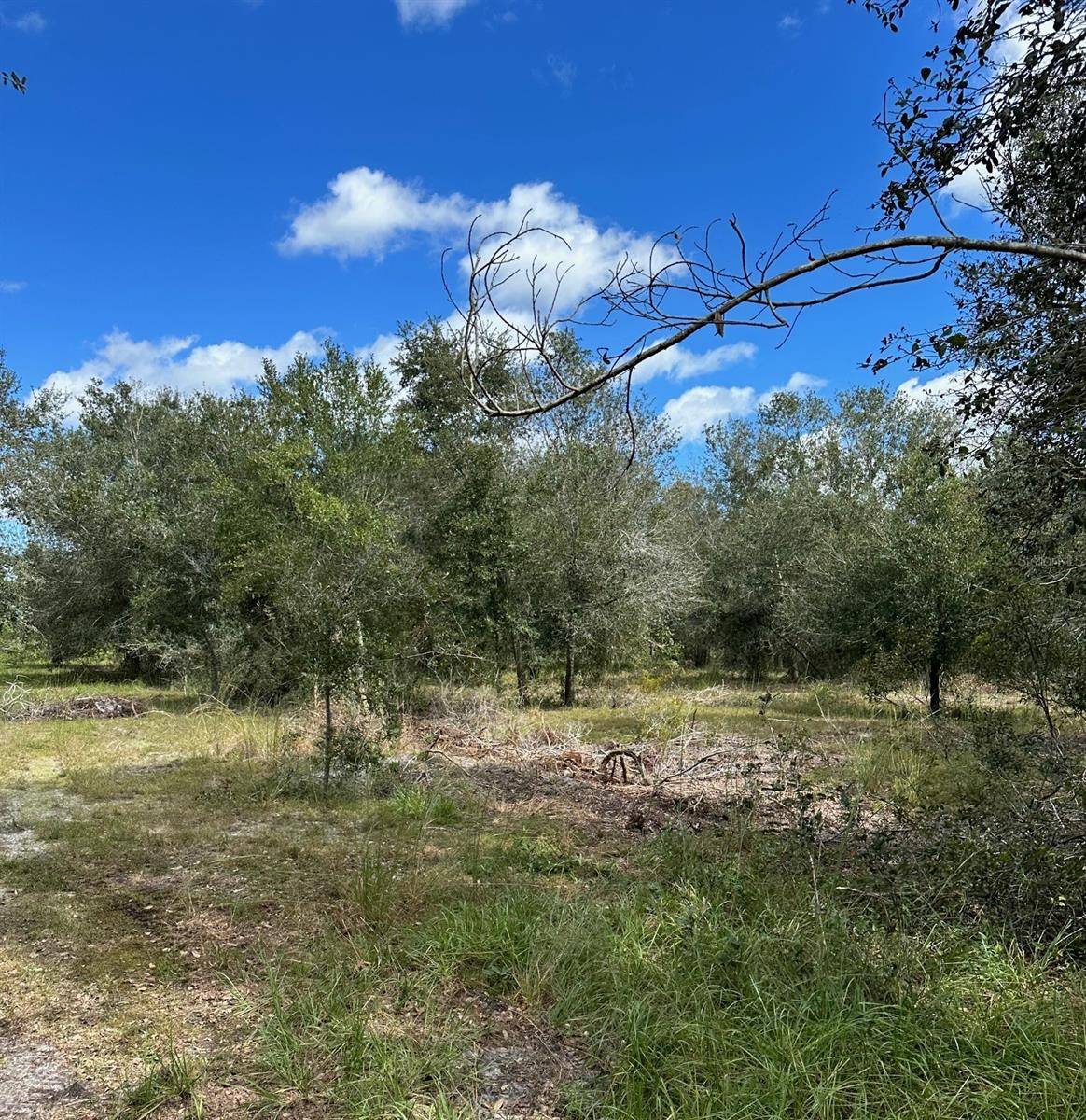 Arcadia, FL 34266,SE TOMLIN #3 DR