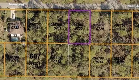 North Port, FL 34291,NEON AVE