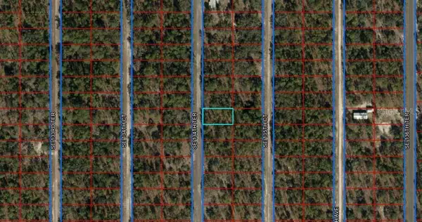 SE 134TH TER, Dunnellon, FL 34431