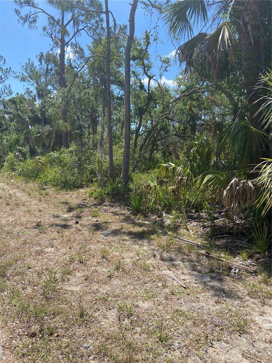 Port Charlotte, FL 33948,17123 HEMLOCK AVE