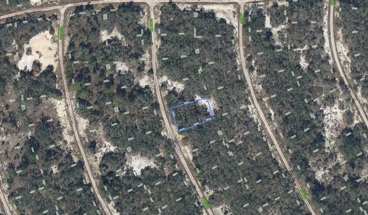 Lake Placid, FL 33852,223 SUMMER WIND LN