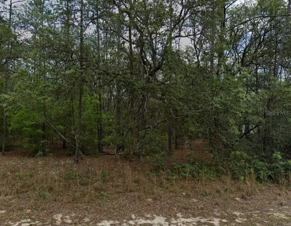 Dunnellon, FL 34434,8617 N SAWYER TER