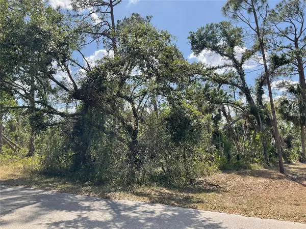 North Port, FL 34288,LOT 25 ANANAS RD