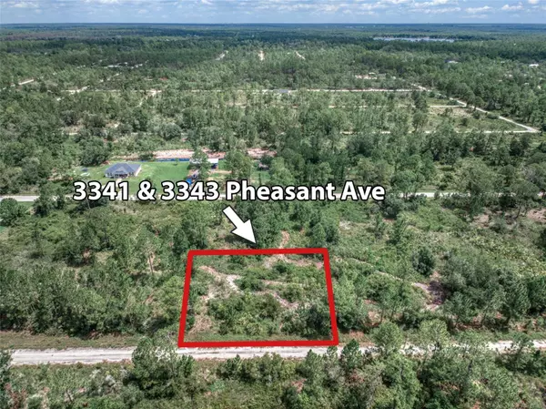 Lake Placid, FL 33852,3343 PHEASANT AVE