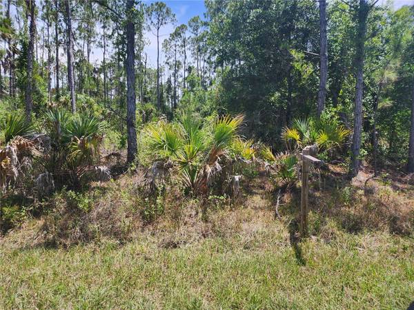 Lot 12 SILVERLEAF RD, North Port, FL 34288