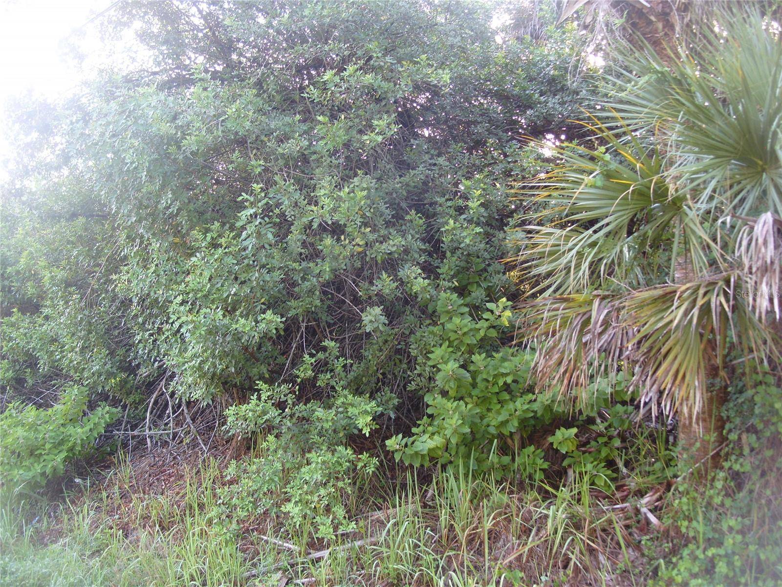 Port Charlotte, FL 33953,264 EPPINGER DR