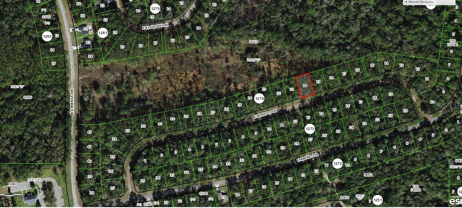 793 E BYRD LOOP, Dunnellon, FL 34434