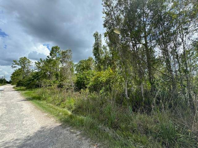 Punta Gorda, FL 33982,29460 CLARA DR
