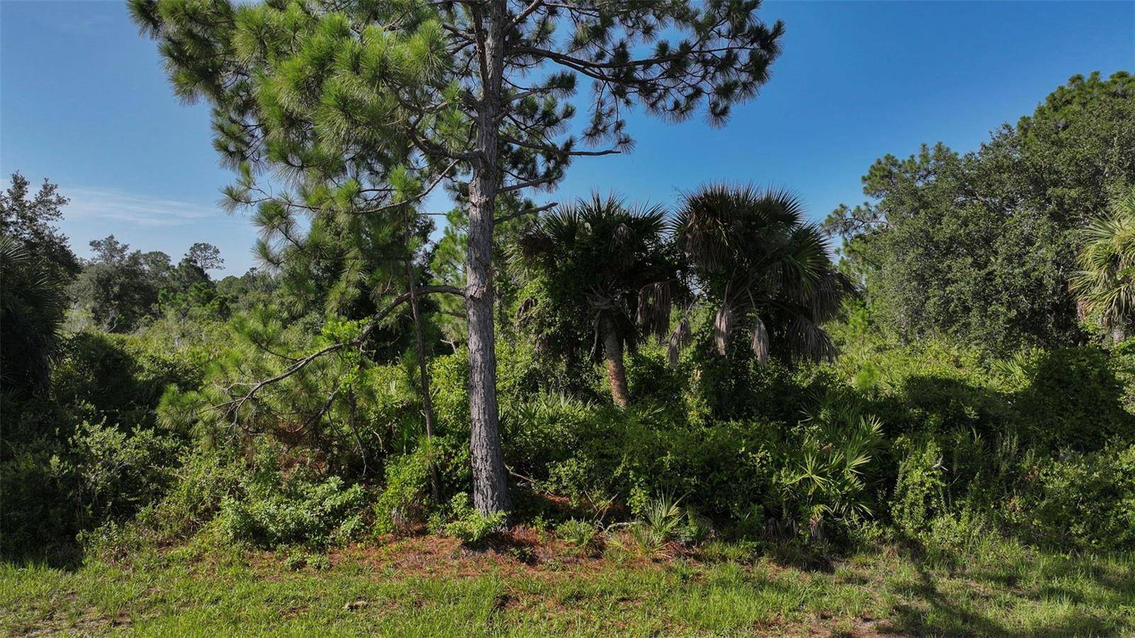 12189 GRACE AVE, Port Charlotte, FL 33981
