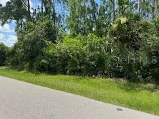 Punta Gorda, FL 33980,23346 MCKIM AVE