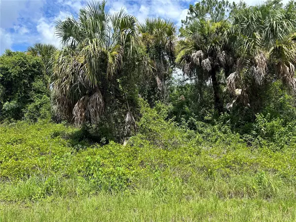 North Port, FL 34286,Lot 4 RAVEN ST