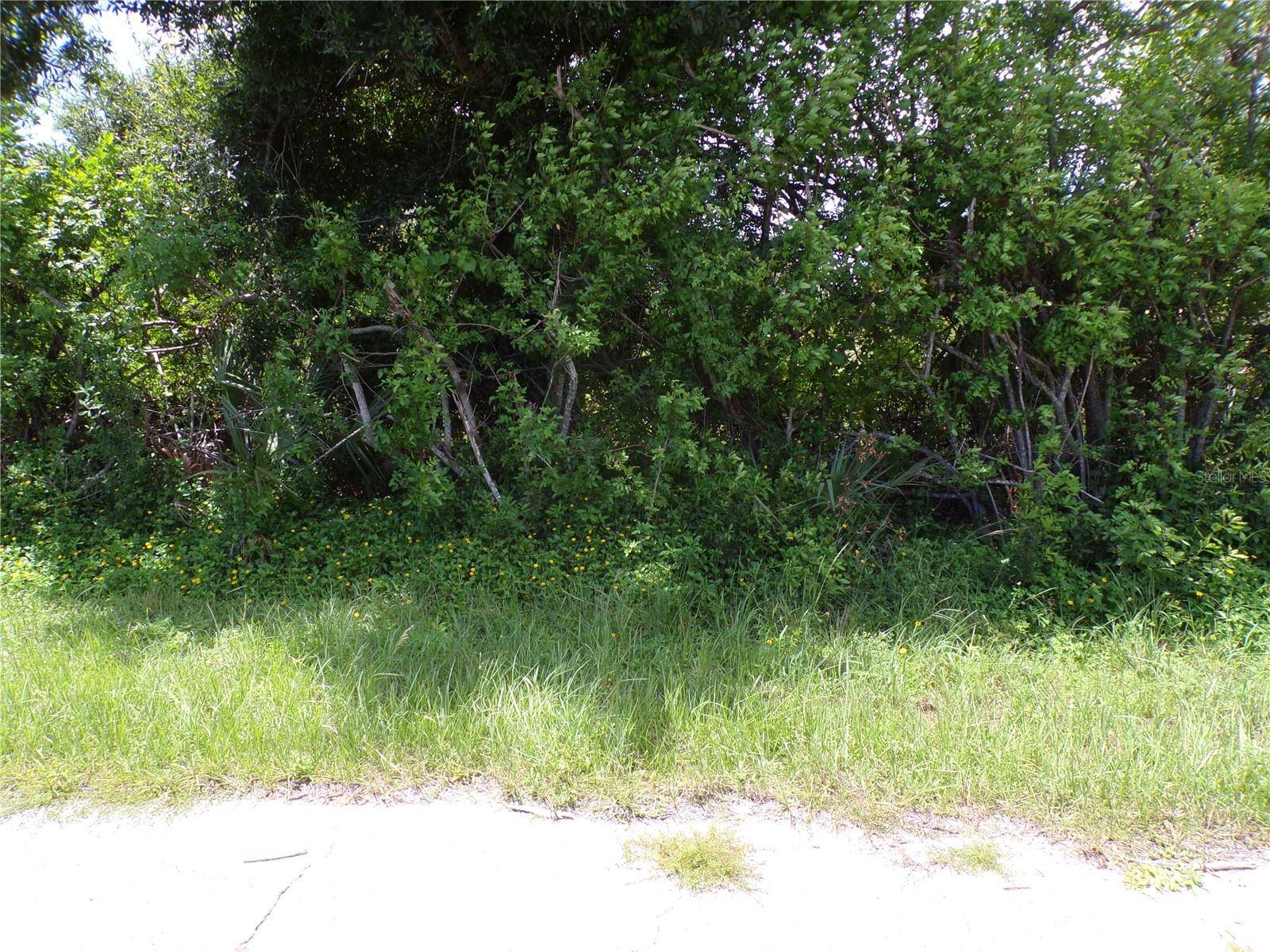Port Charlotte, FL 33981,7248 CASSIDY CT