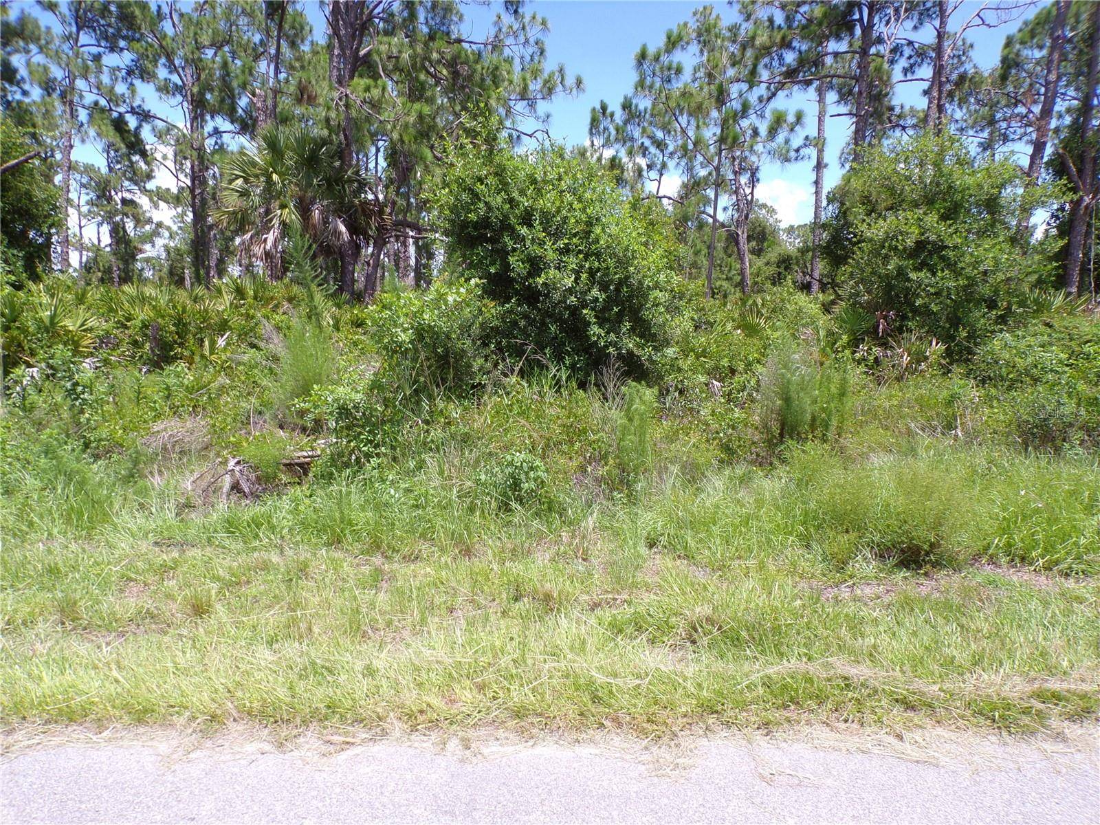Port Charlotte, FL 33953,96 POMPANO ST