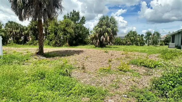 Rotonda West, FL 33947,29 PINE VALLEY LN.