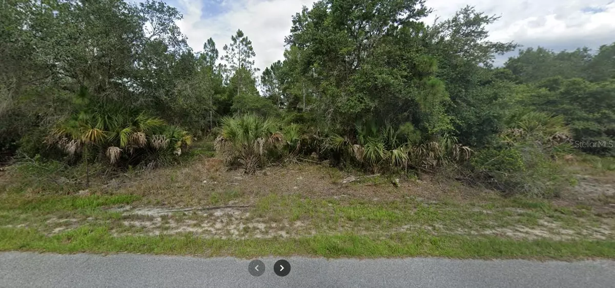 North Port, FL 34291,SAGO PALM RD