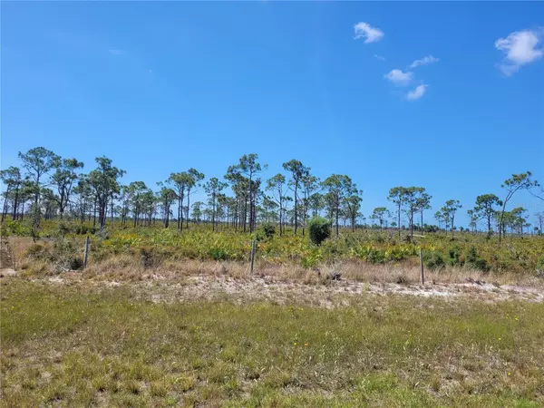 Placida, FL 33946,12076 SEA-ROBIN LN