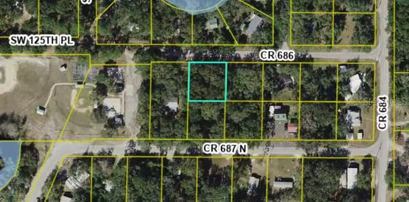 Lot #5 CR 687 N, Webster, FL 33597