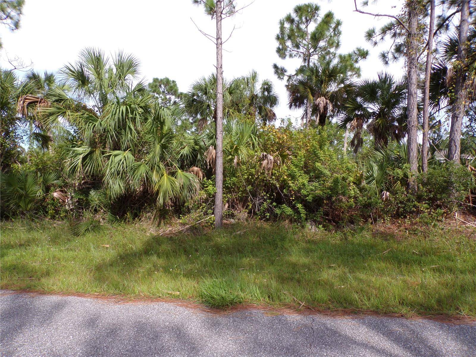 3206 CALLISTO ST, Port Charlotte, FL 33981