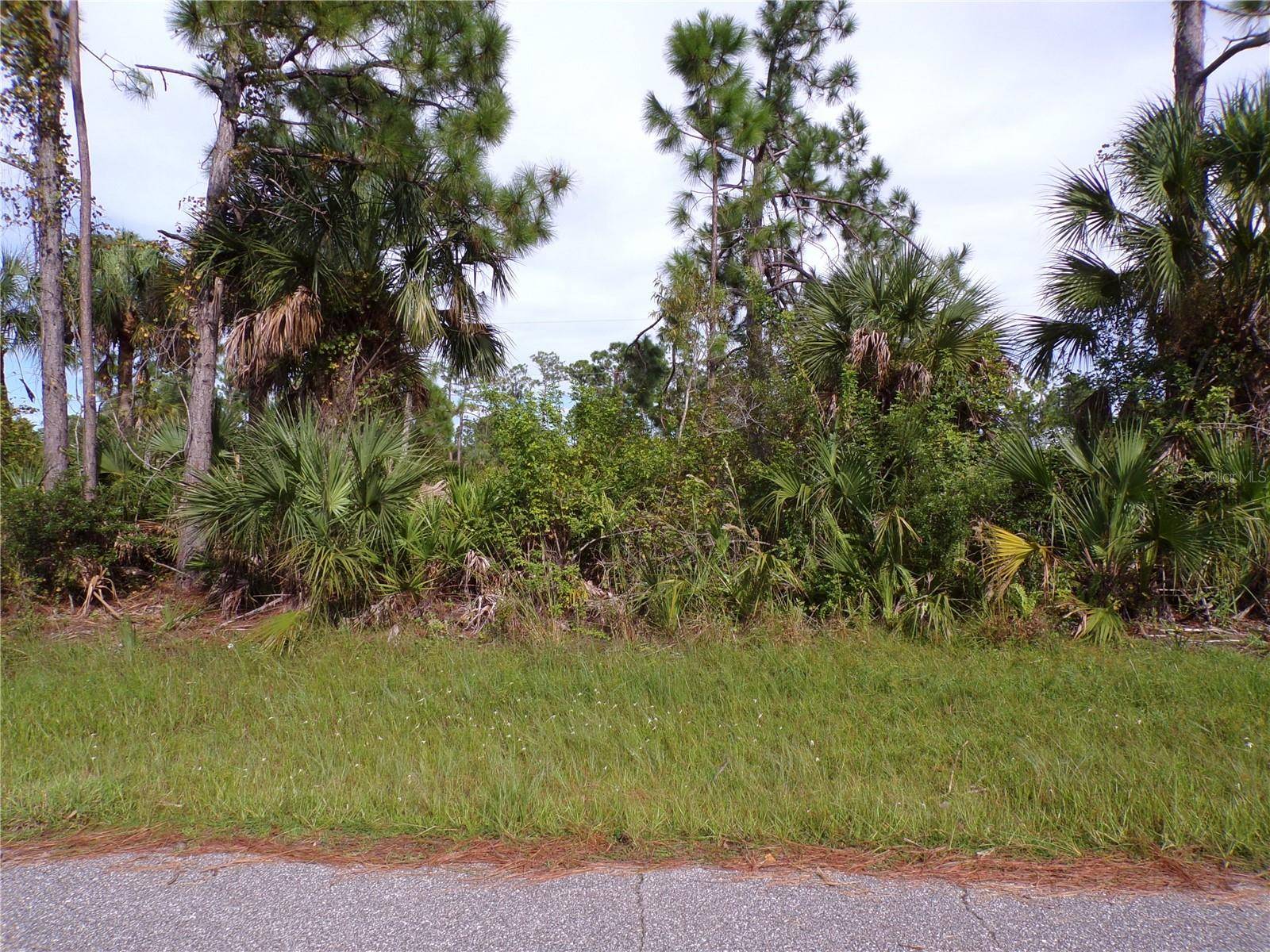 Port Charlotte, FL 33981,3206 CALLISTO ST