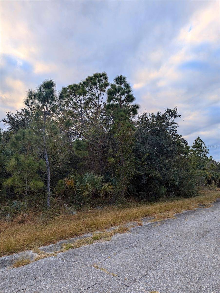 North Port, FL 34288,Lot 11 MATTOX CIR