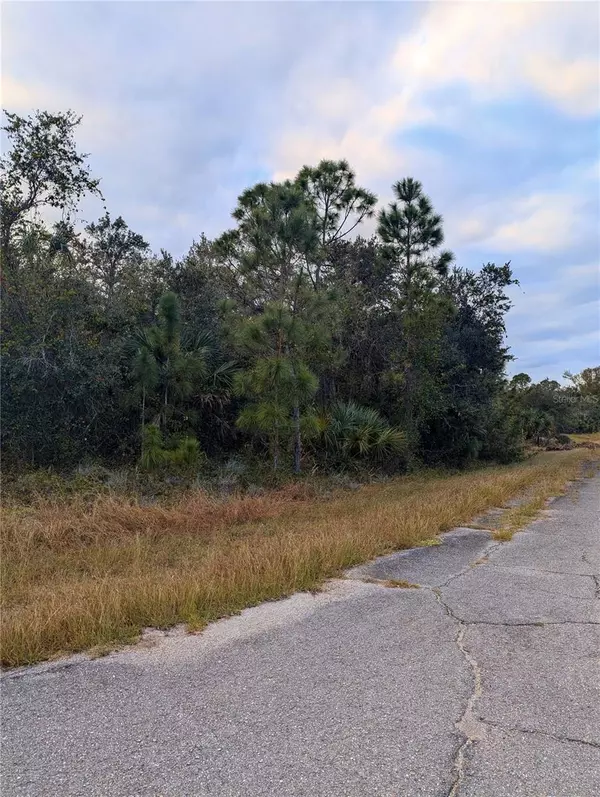 North Port, FL 34288,Lot 11 MATTOX CIR