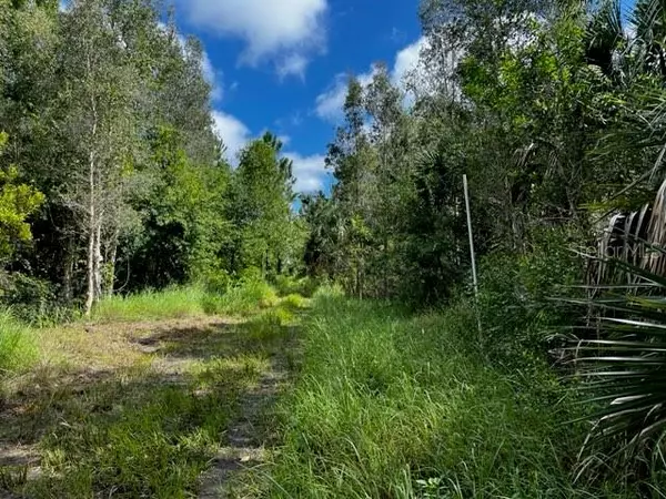 Punta Gorda, FL 33982,50154 BERMONT RD