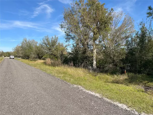 Punta Gorda, FL 33982,PINE VILLA CIR