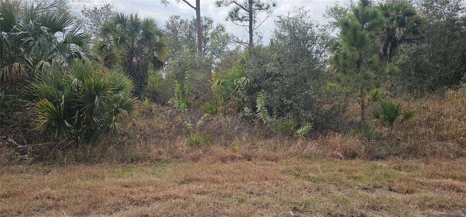 North Port, FL 34288,Lot 3 TUTTLE LN