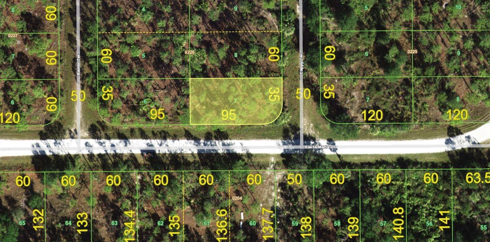 13365 CAPPY TER, Punta Gorda, FL 33955