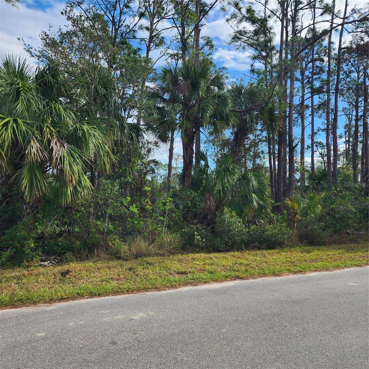 Port Charlotte, FL 33953,15122 CAROUSEL LN