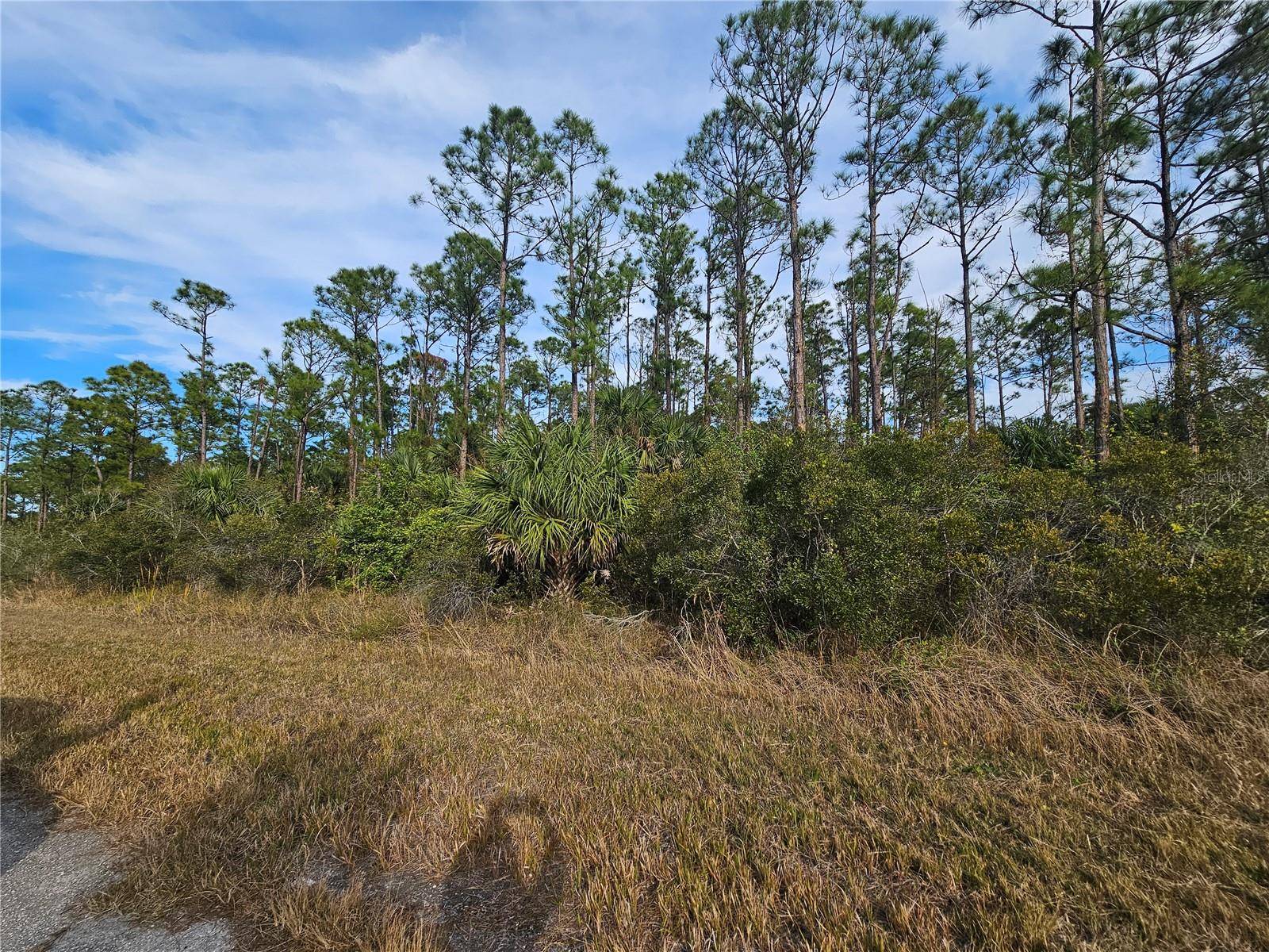 North Port, FL 34288,BLUELEAF DR
