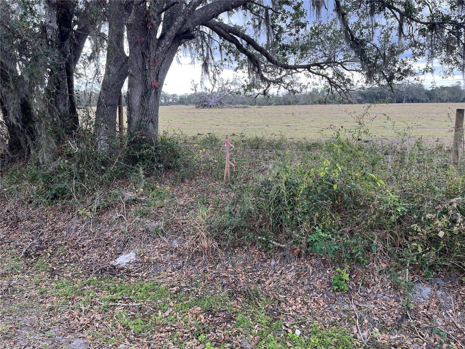 Arcadia, FL 34266,NW COKER ST