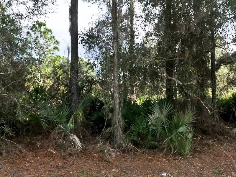 CASCABEL LOT #6 TER, North Port, FL 34286