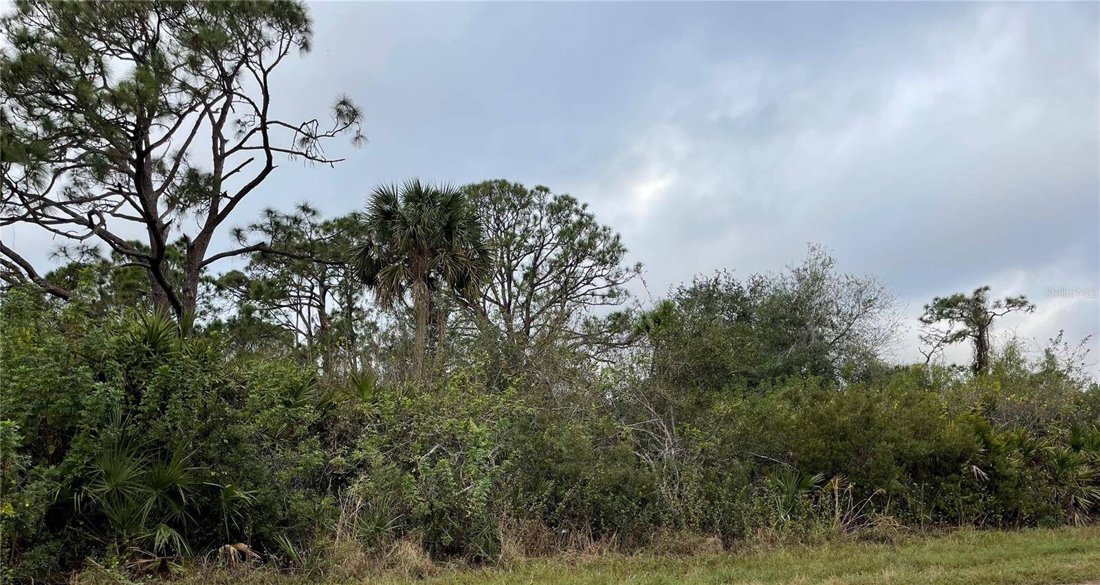 Port Charlotte, FL 33981