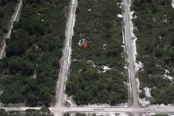 3430 CLIFF SWALLOW ST, Lake Placid, FL 33852