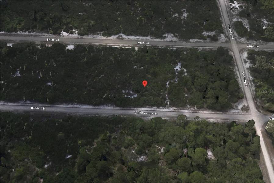 3430 CLIFF SWALLOW ST, Lake Placid, FL 33852