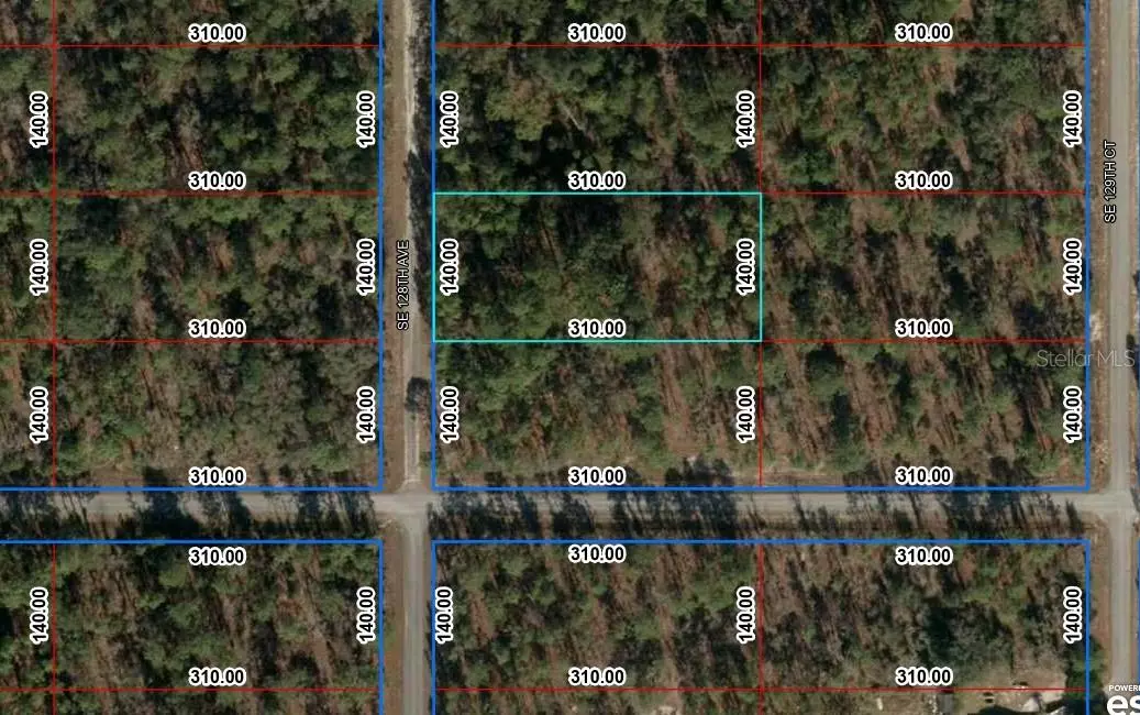 Dunnellon, FL 34431,TBD SE 128TH AVE