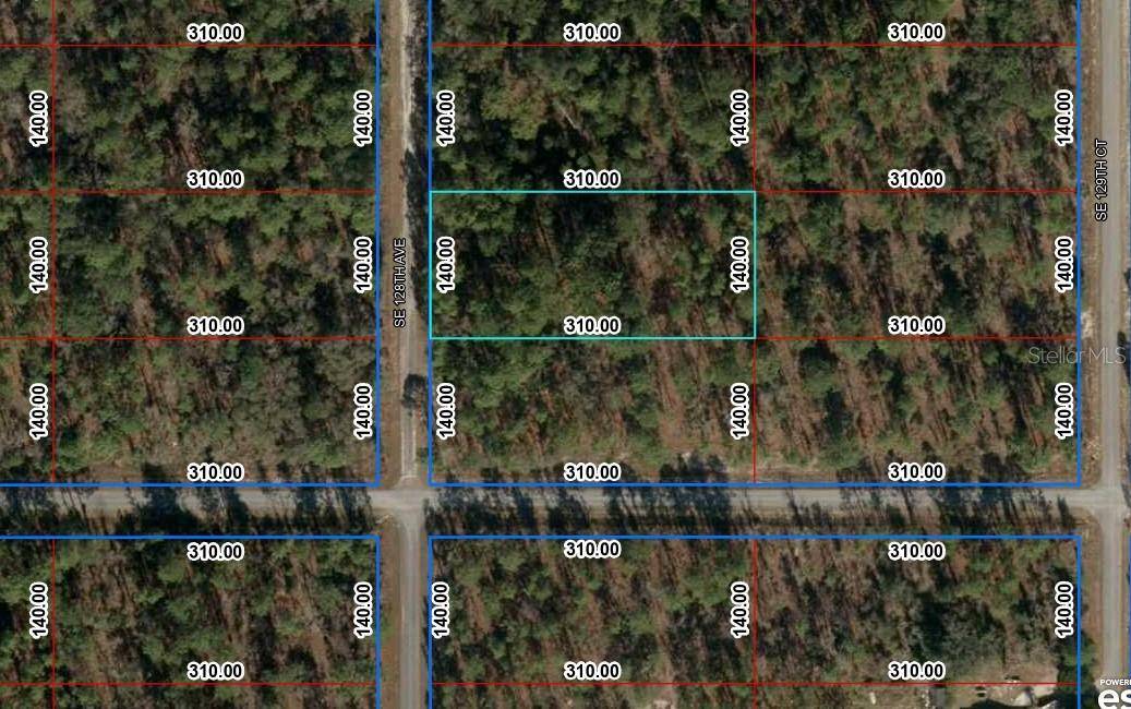 TBD SE 128TH AVE, Dunnellon, FL 34431