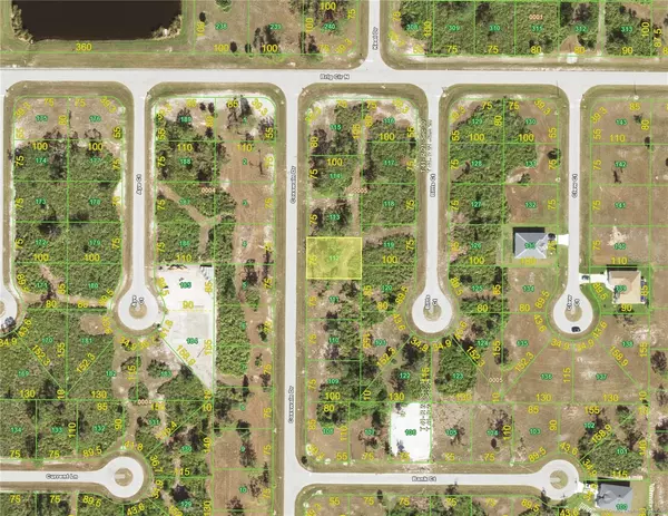 Placida, FL 33946,41 COXSWAIN DR